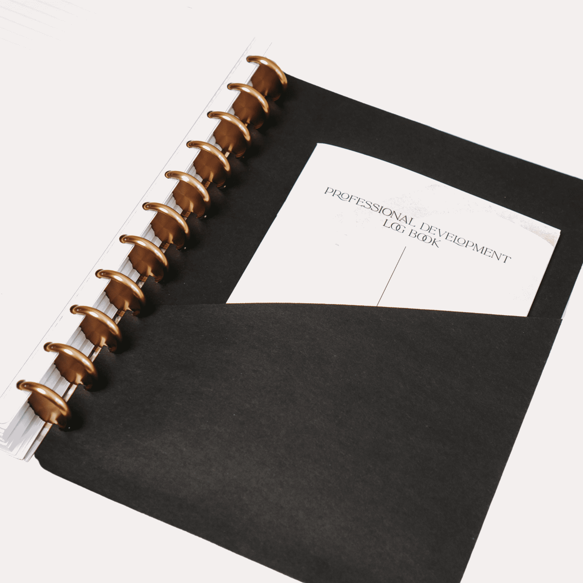 Cardboard Pocket | Disc - The Functional Teacher