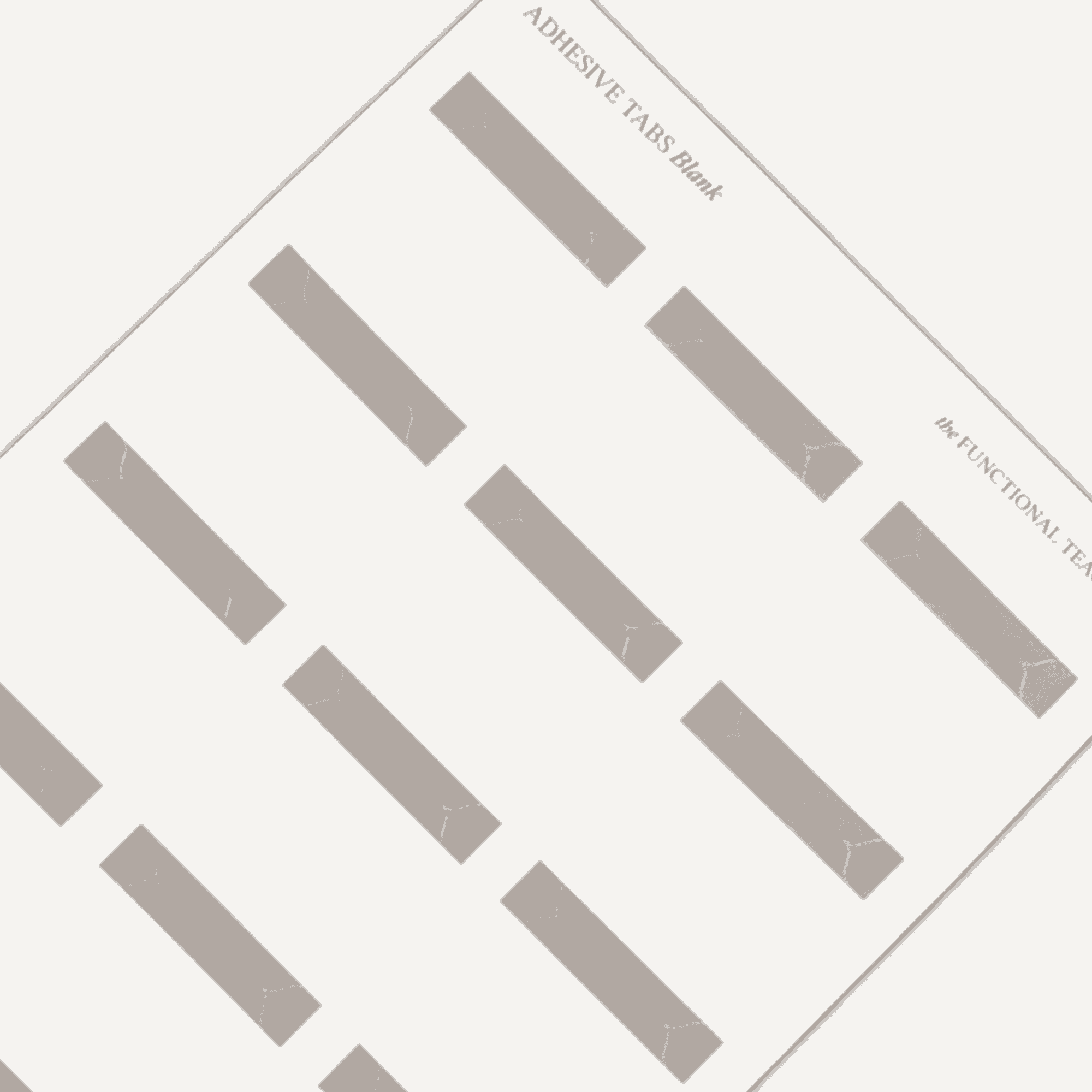 Adhesive Tabs | Blank - The Functional Teacher