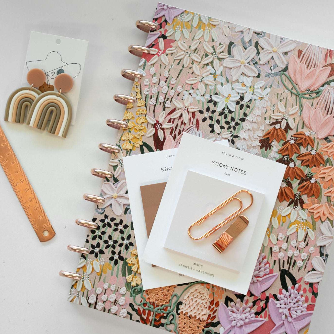 2025 Everyday | Disc Inserts - The Functional Teacher