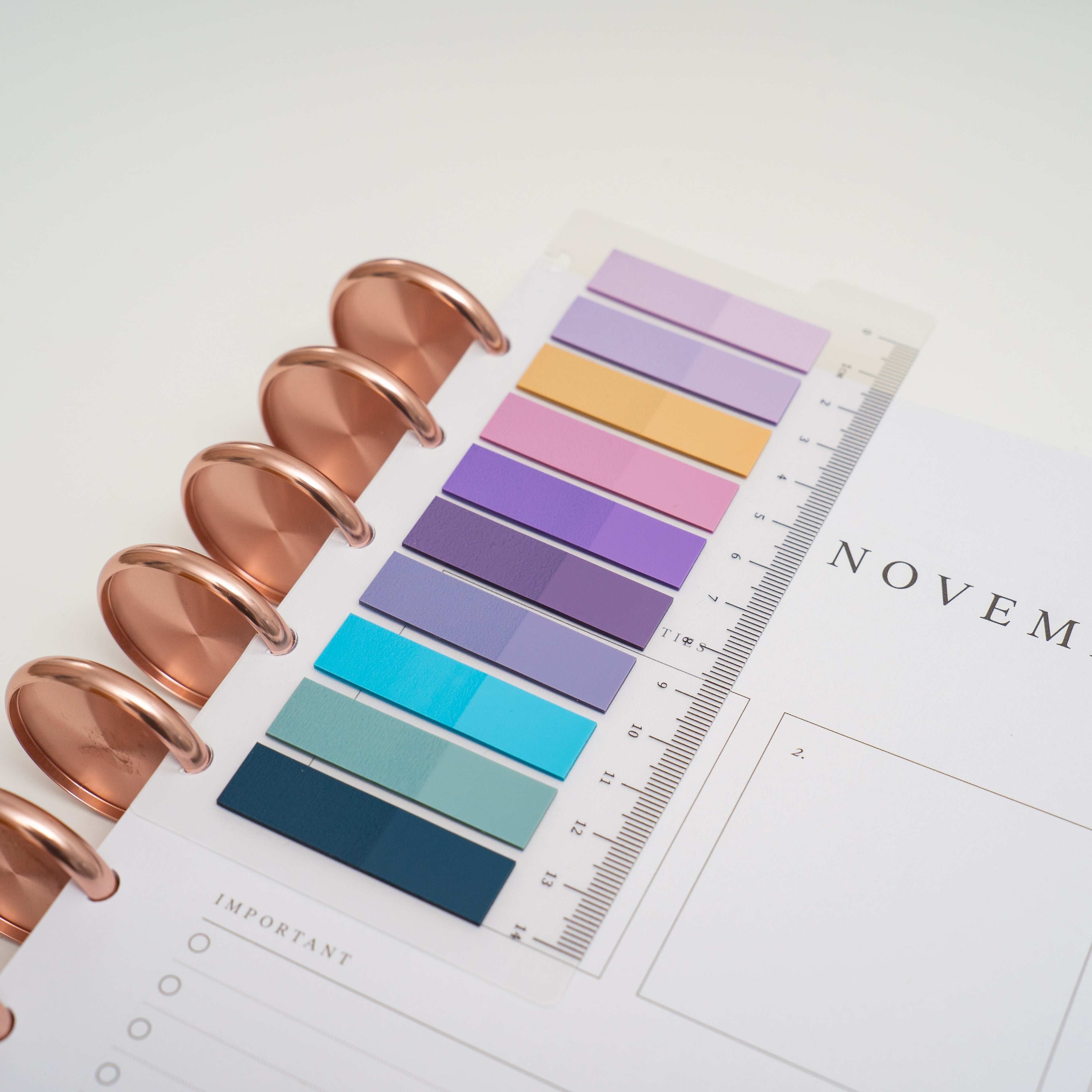 Sticky Note DISC PLANNER Clip-In Bookmarks