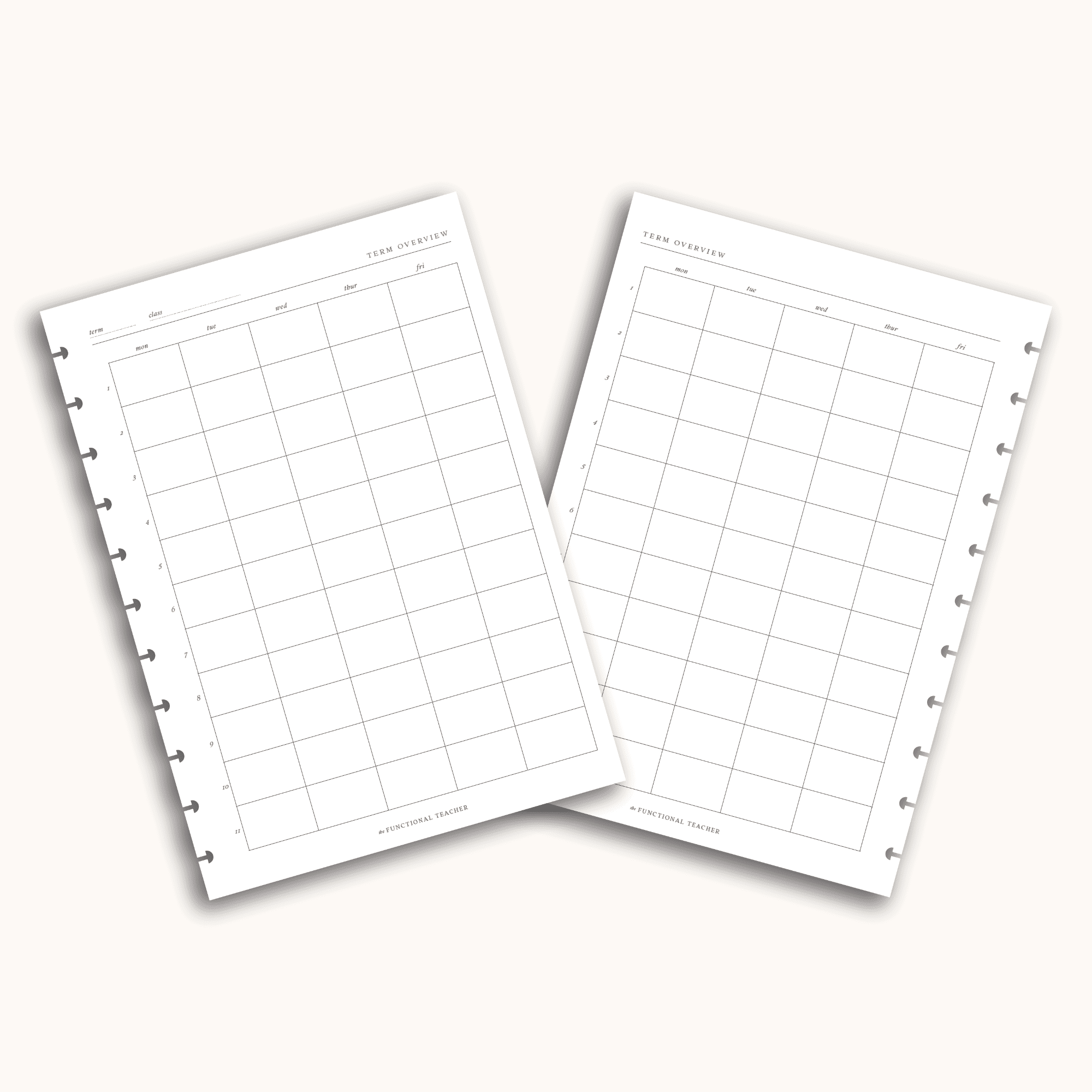 Term Overview | Disc Insert - The Functional Teacher