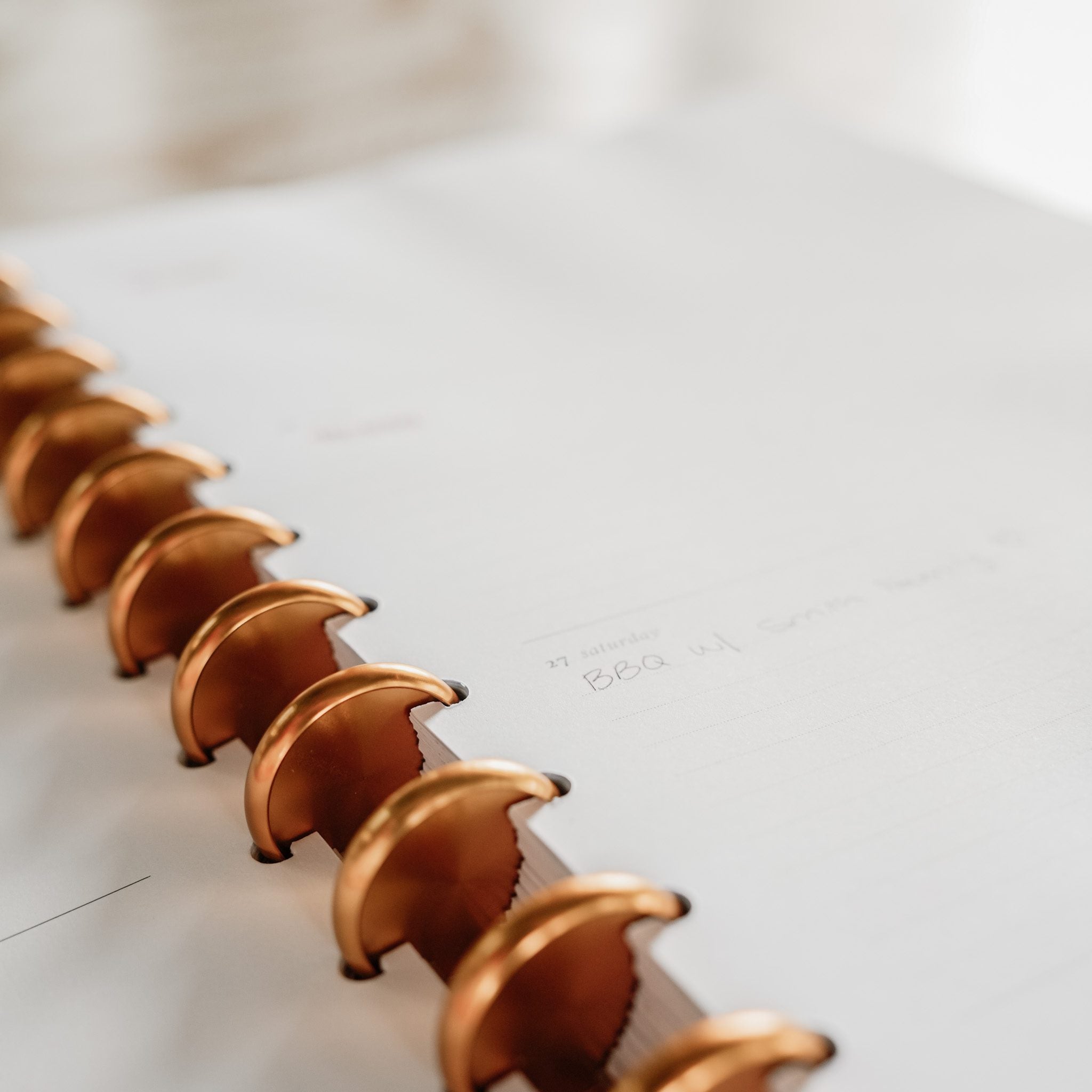 Meeting Notes | Disc Inserts - The Functional Teacher