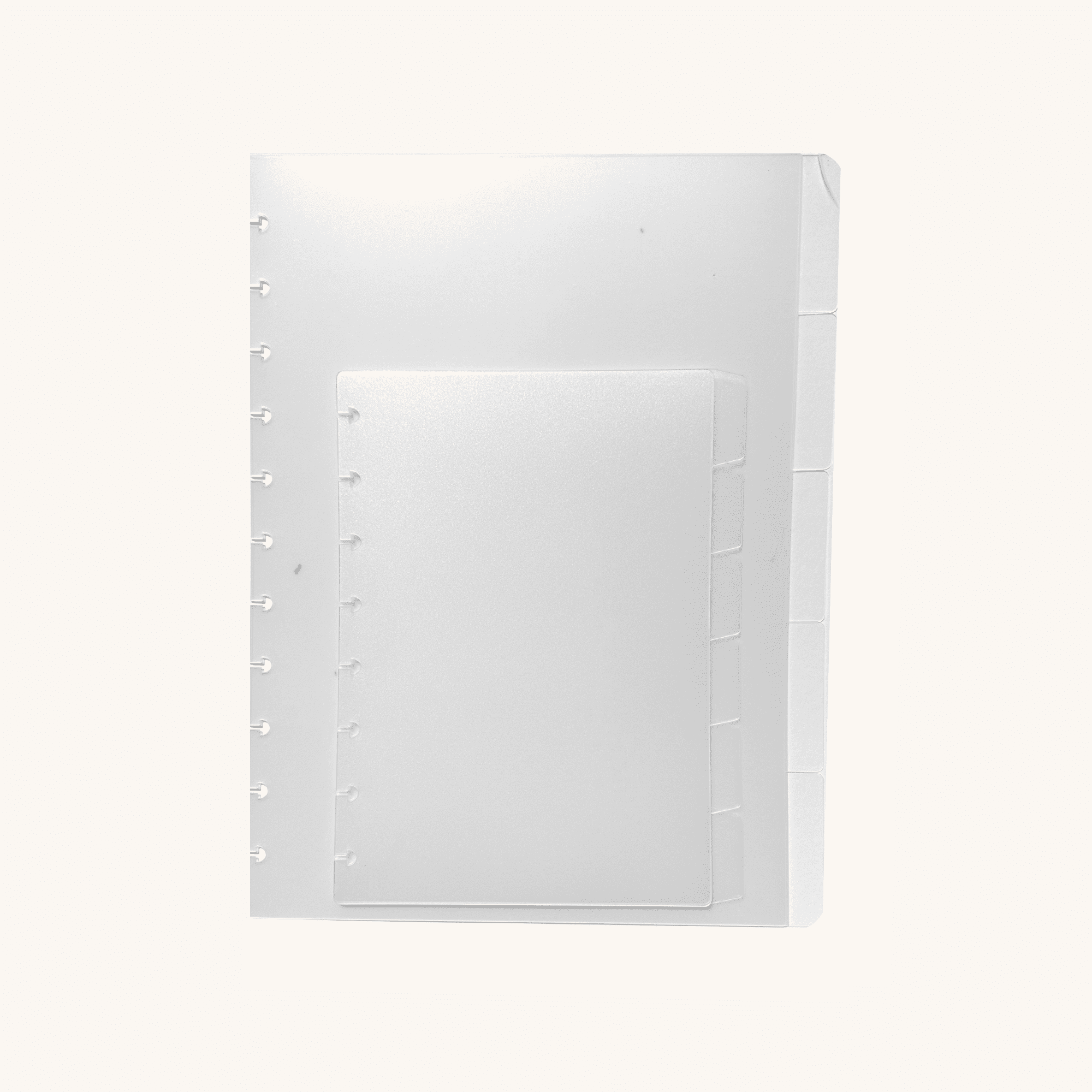 Frosted Dividers - The Functional Teacher