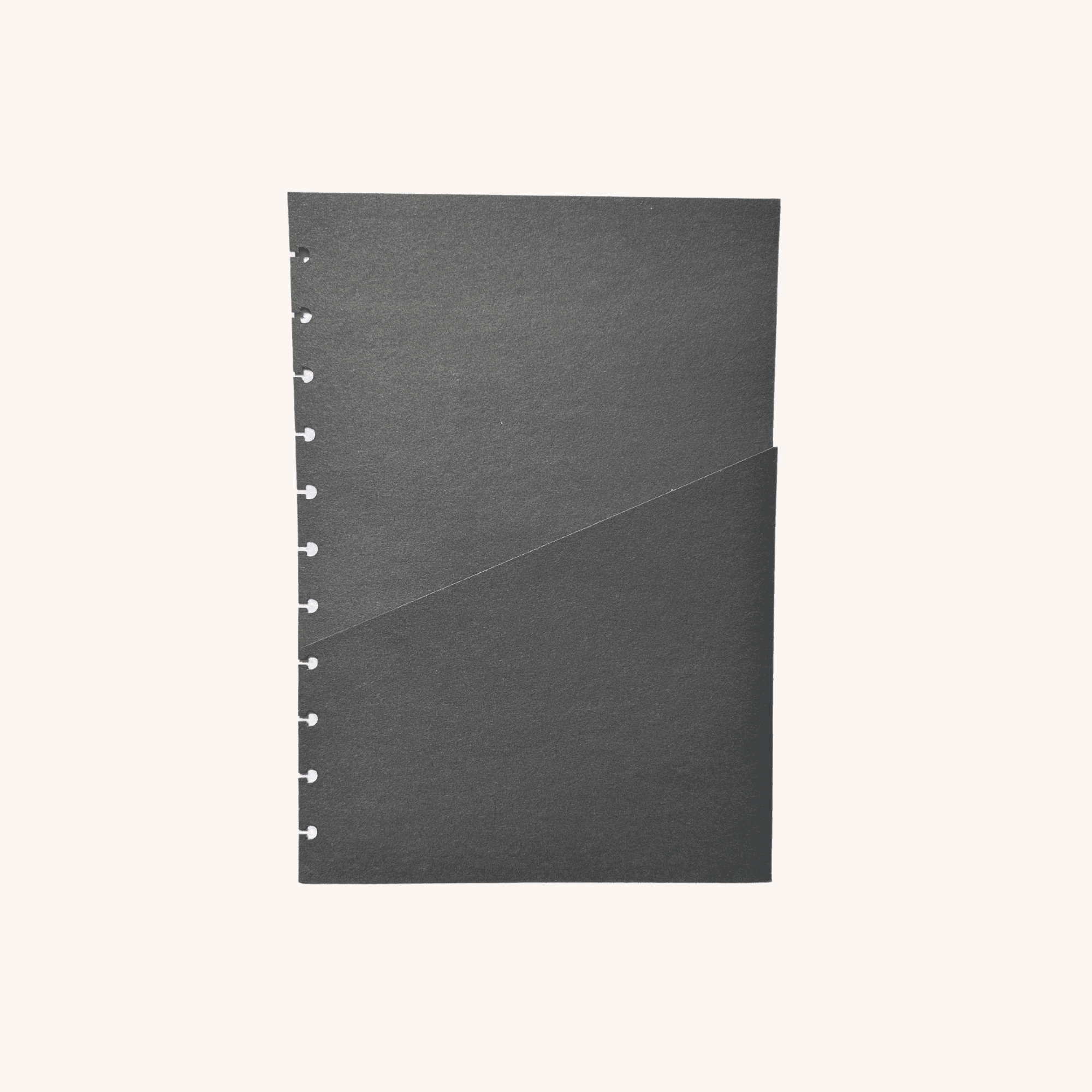 Cardboard Pocket | Disc - The Functional Teacher