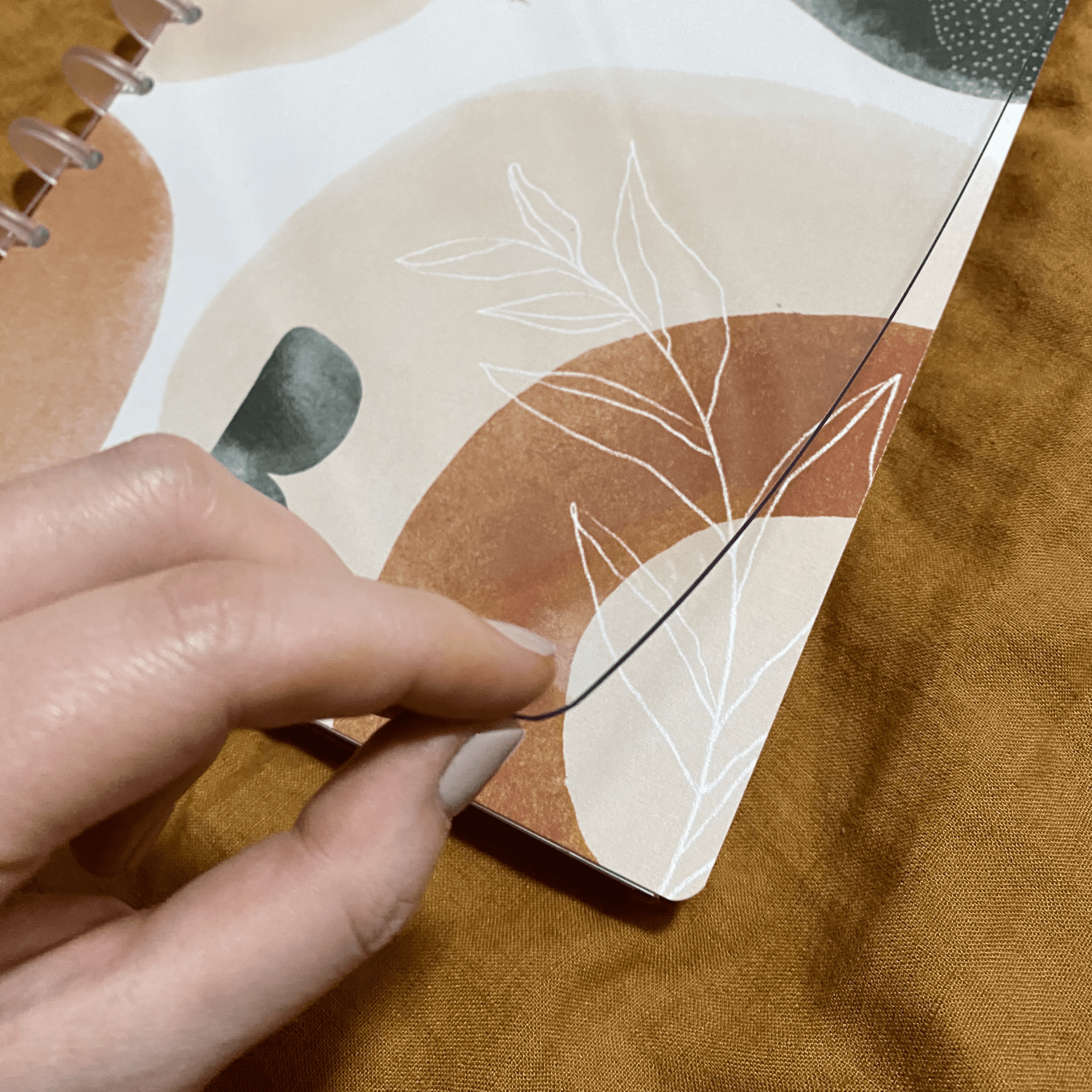 Crystal Clear Disc Covers - The Functional Teacher