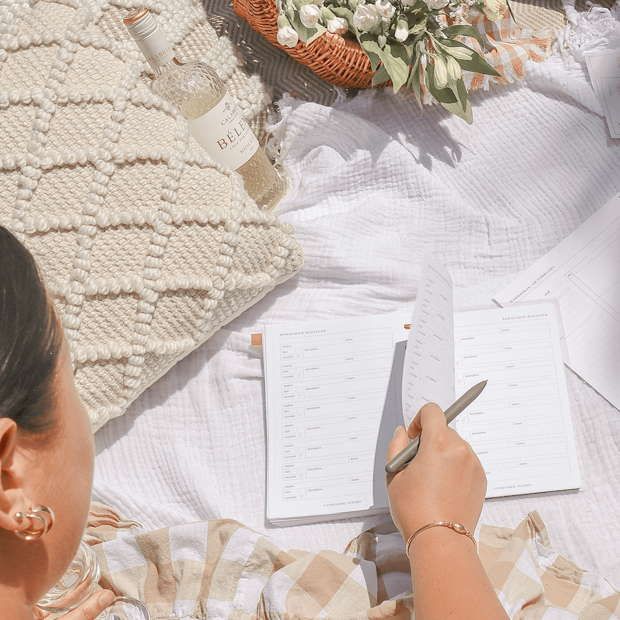 Behaviour Register | Disc Inserts - The Functional Teacher