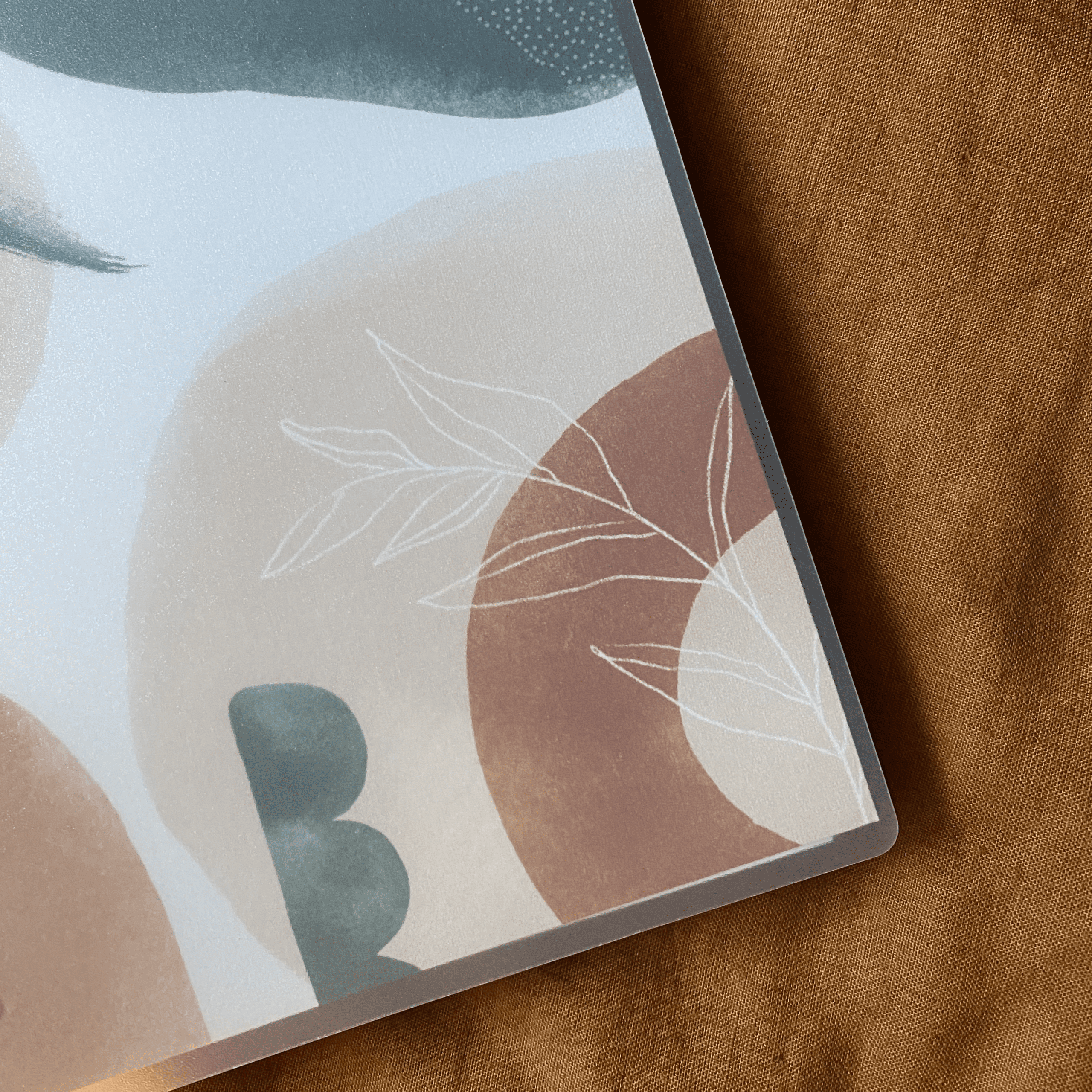 Frosted Disc Covers - The Functional Teacher