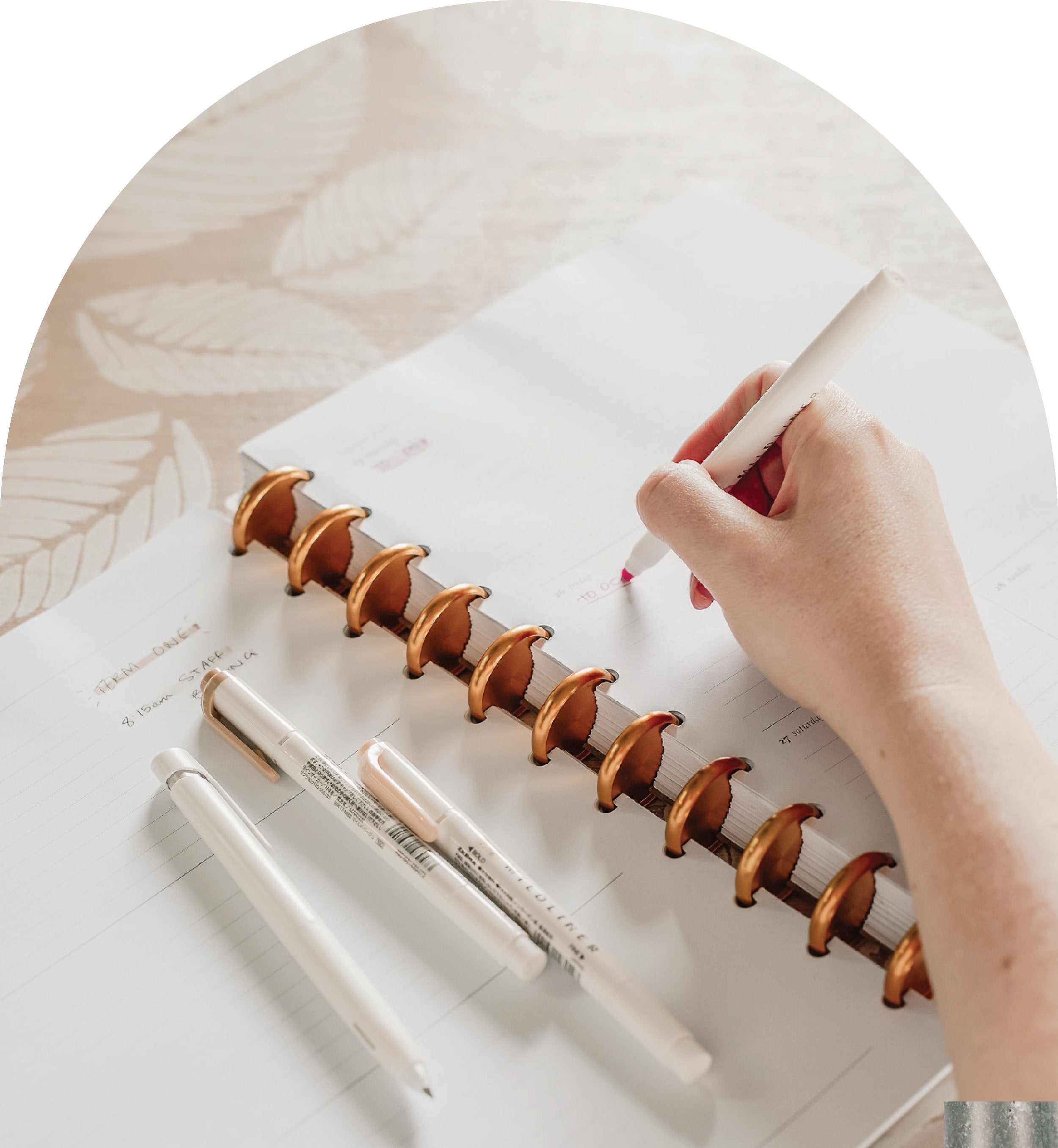 Disc Planners - The Functional Teacher