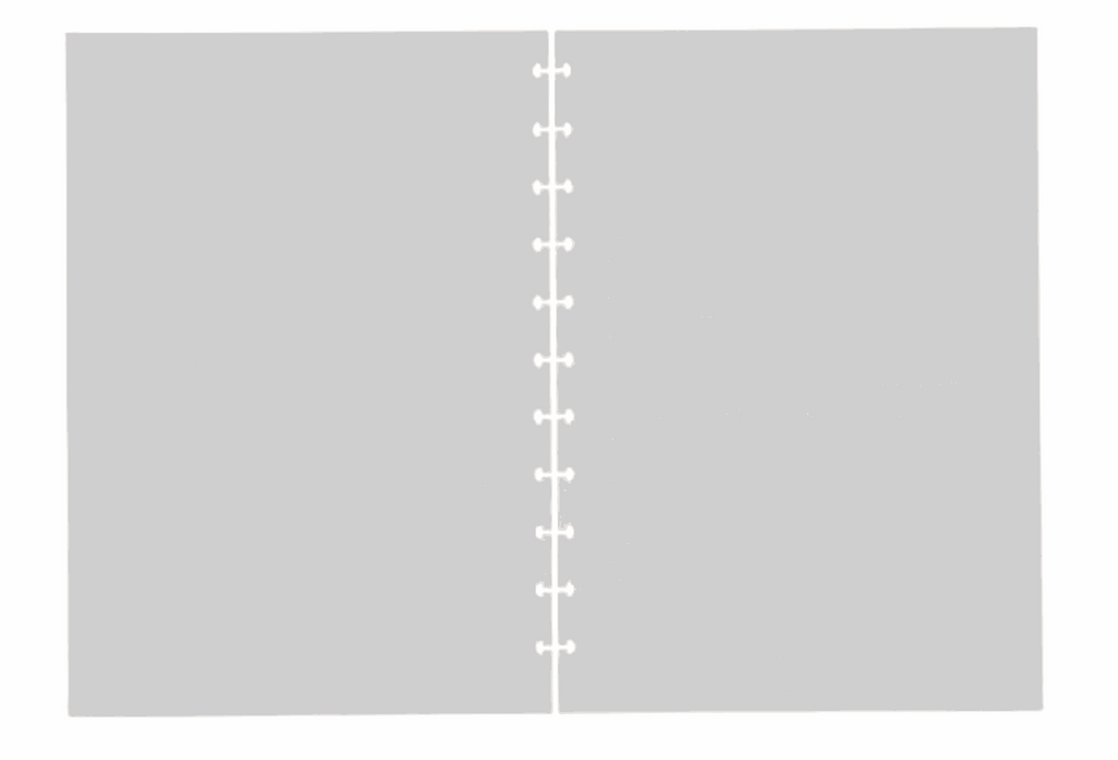 2026 Daily | Disc Inserts