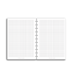 Grid Notes | Disc Inserts - The Functional Teacher