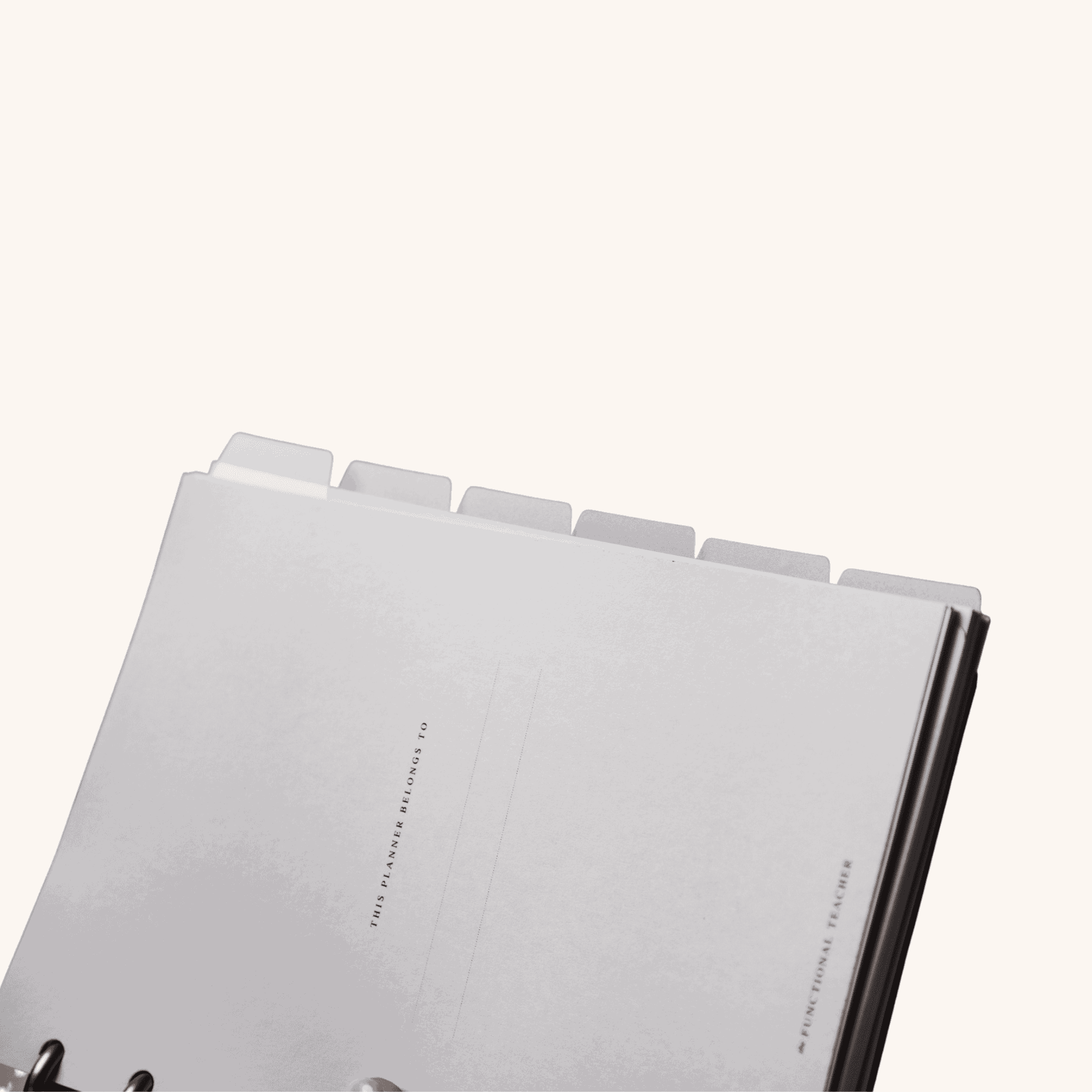 Frosted Dividers - The Functional Teacher