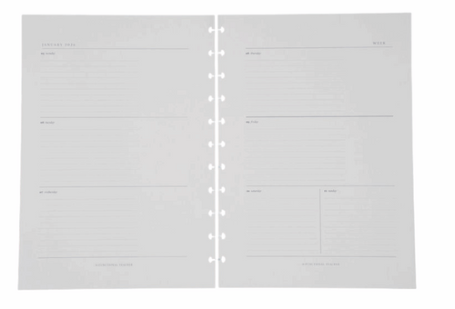 2026 All-In-One | Disc Inserts