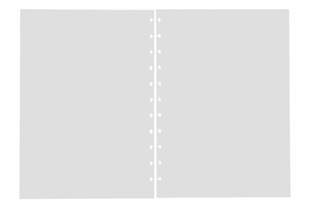 2026 All-In-One | Disc Inserts