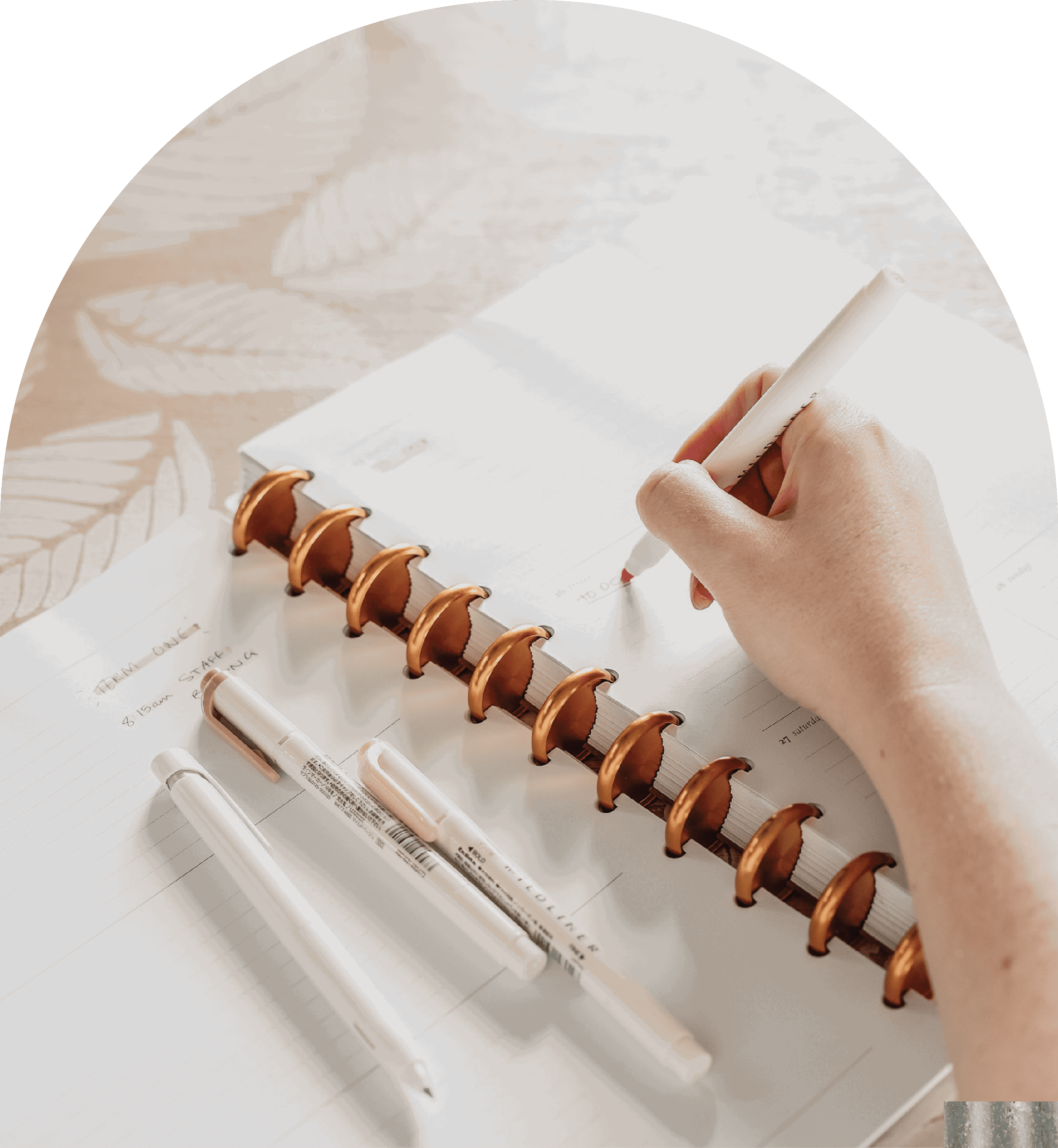 Professional Development Log | Disc Inserts - The Functional Teacher