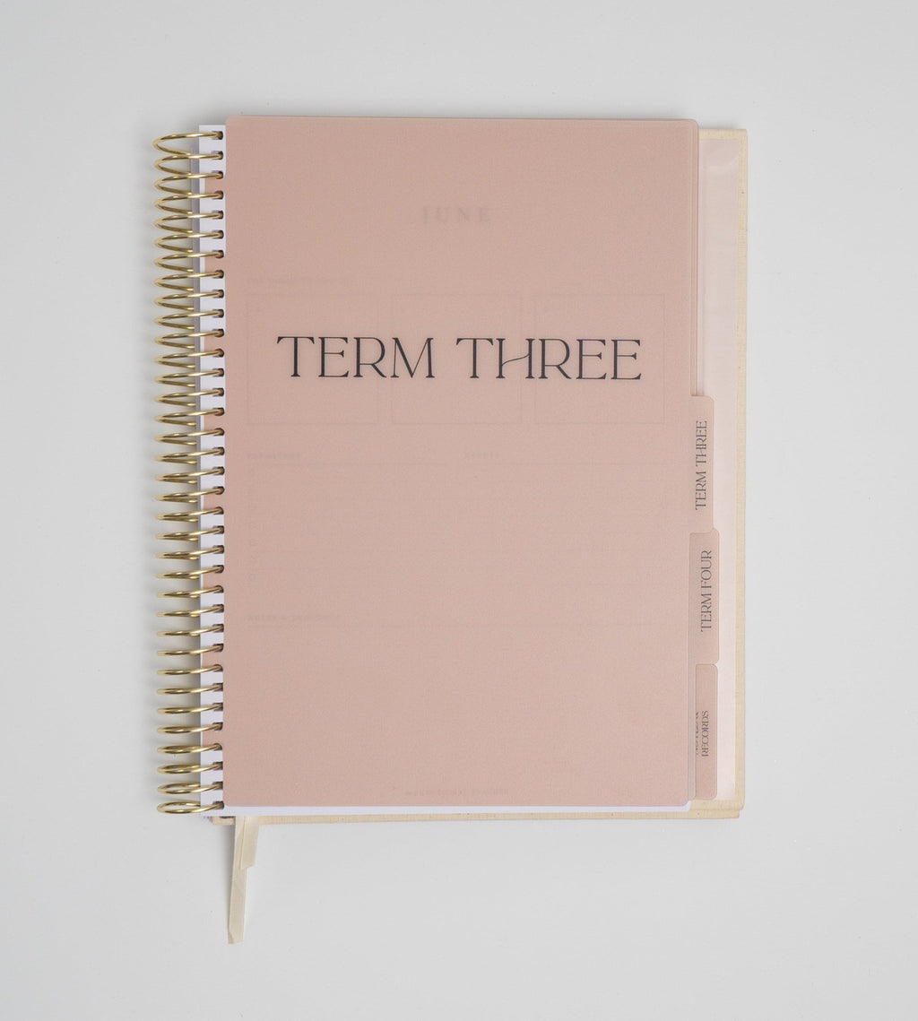 Clip in Coil Term Dividers