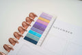 Sticky Note DISC PLANNER Clip-In Bookmarks
