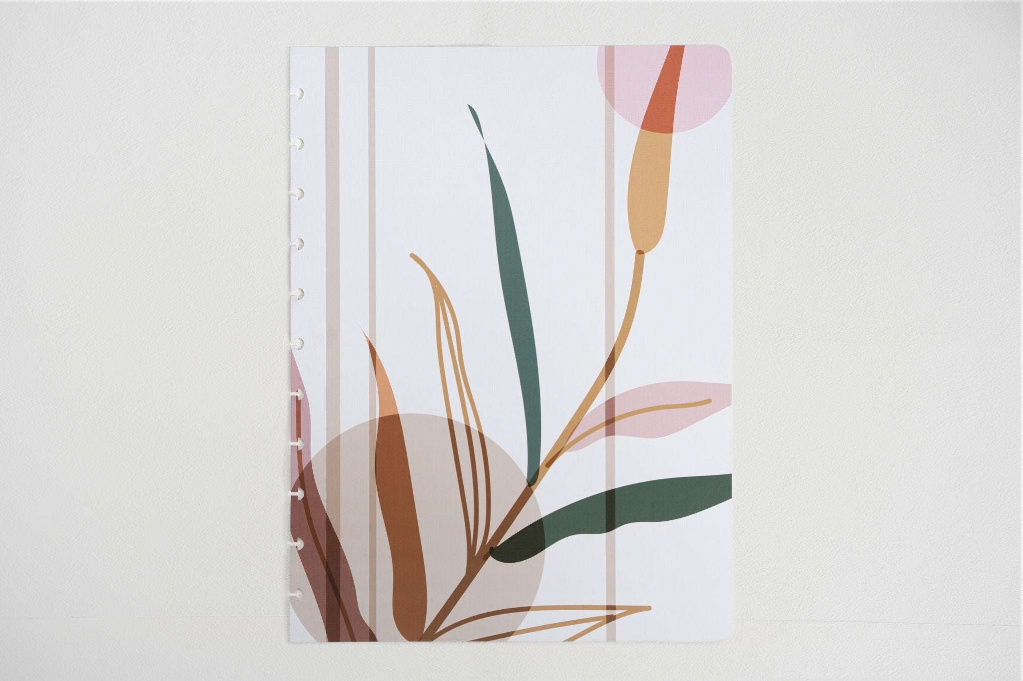 Disc Covers - The Functional Teacher