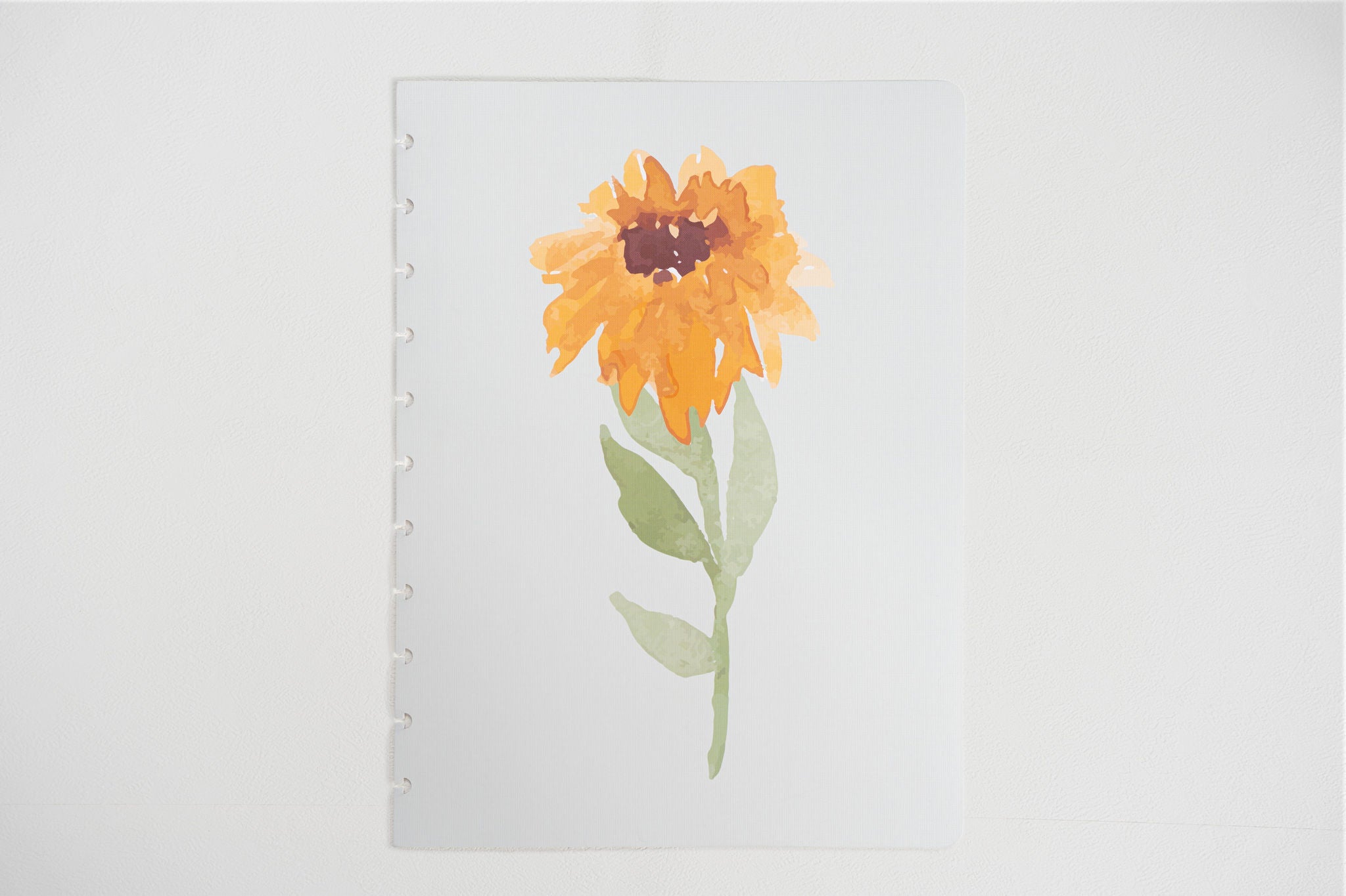 Disc Covers - The Functional Teacher