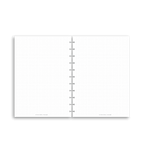 Dot Grid Notes | Disc Inserts - The Functional Teacher