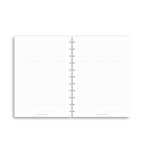 Lined Notes | Disc Inserts - The Functional Teacher