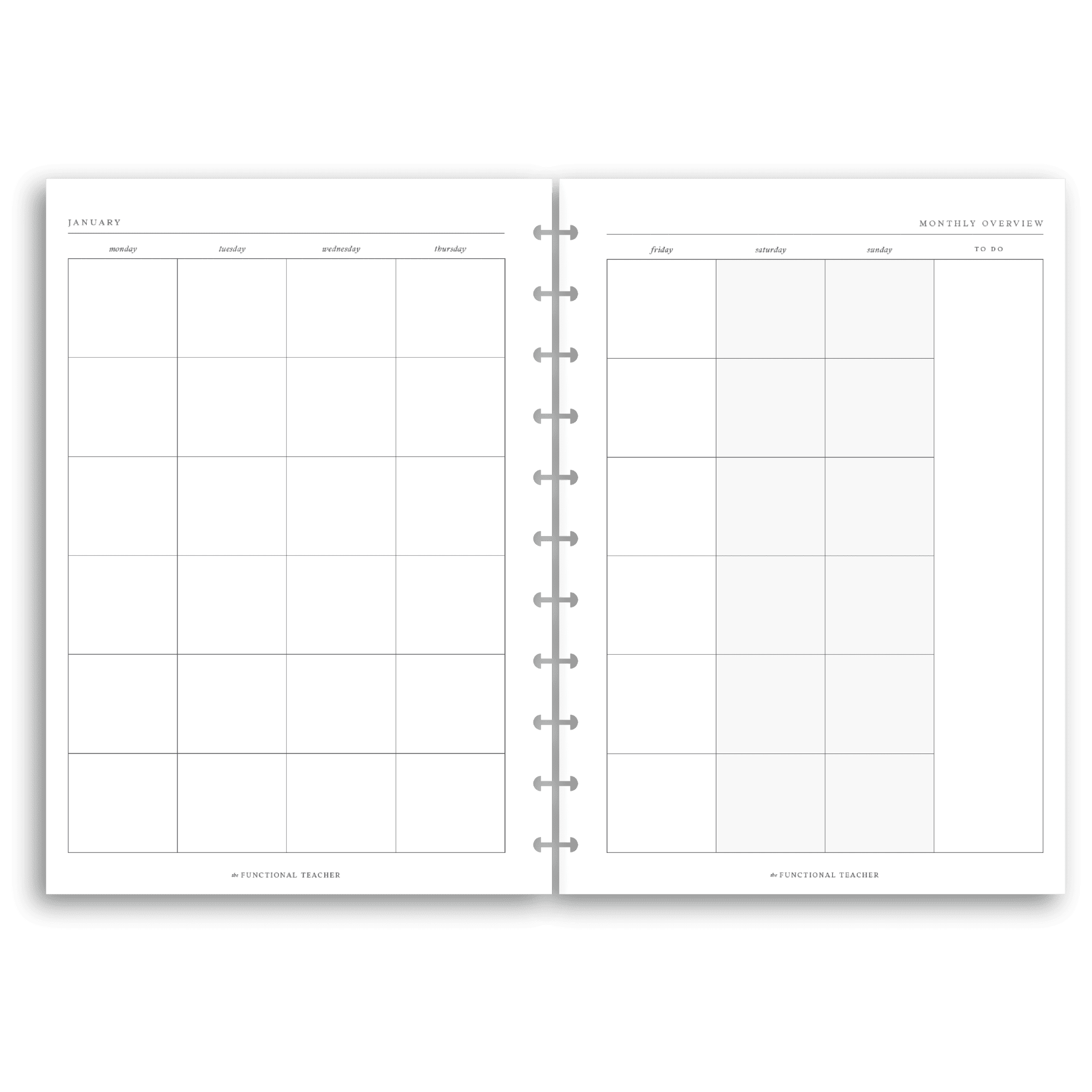 Undated Daily | Disc Inserts - The Functional Teacher